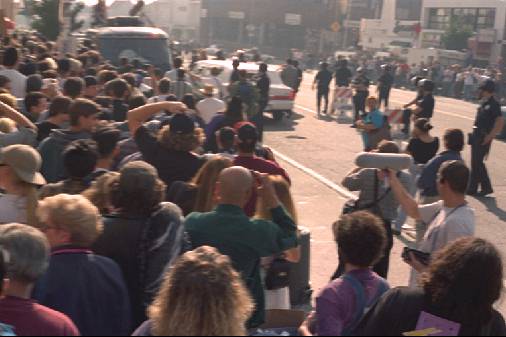 The King of All Media